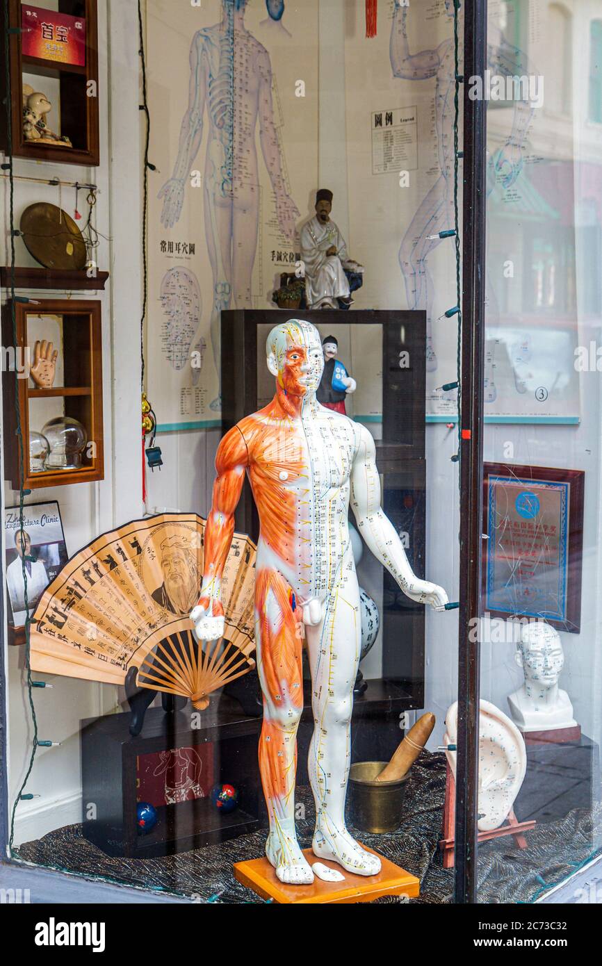 San Francisco California,Chinatown,Waverly Place,storefront,window,display sale Traditional Chinese medicine,alternative,acupuncture points,anatomical Stock Photo