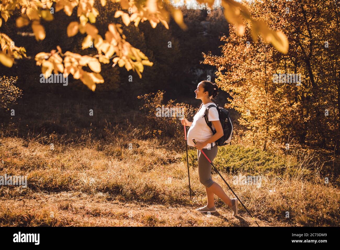 Pregnant woman nordic walking in autumn forest with backpack and trekking sticks. Healthy and active lifestyle in maternity time. Pregnancy exercises for wellness. Stock Photo