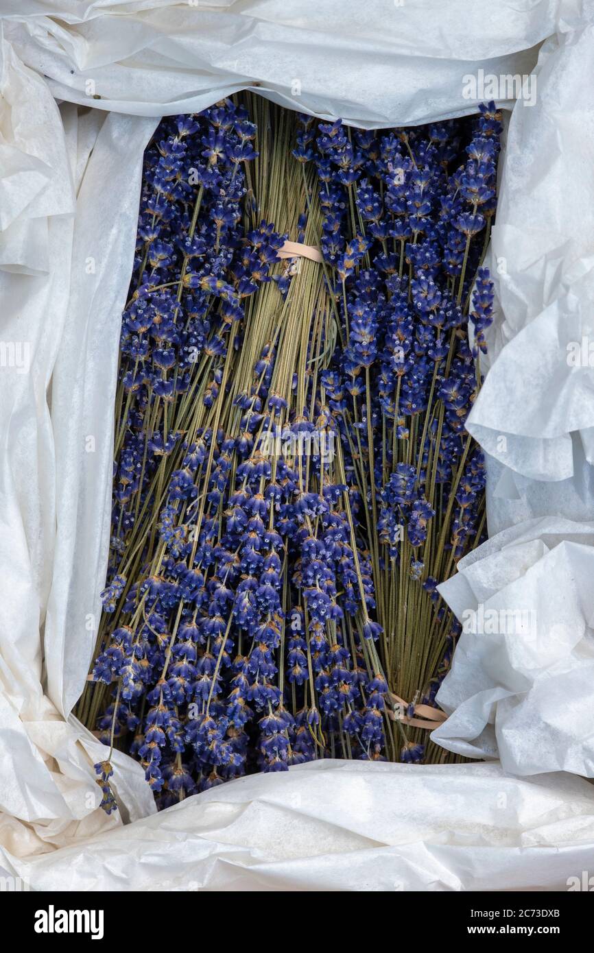 Lavendula. Bunches of dried lavender in a box Stock Photo