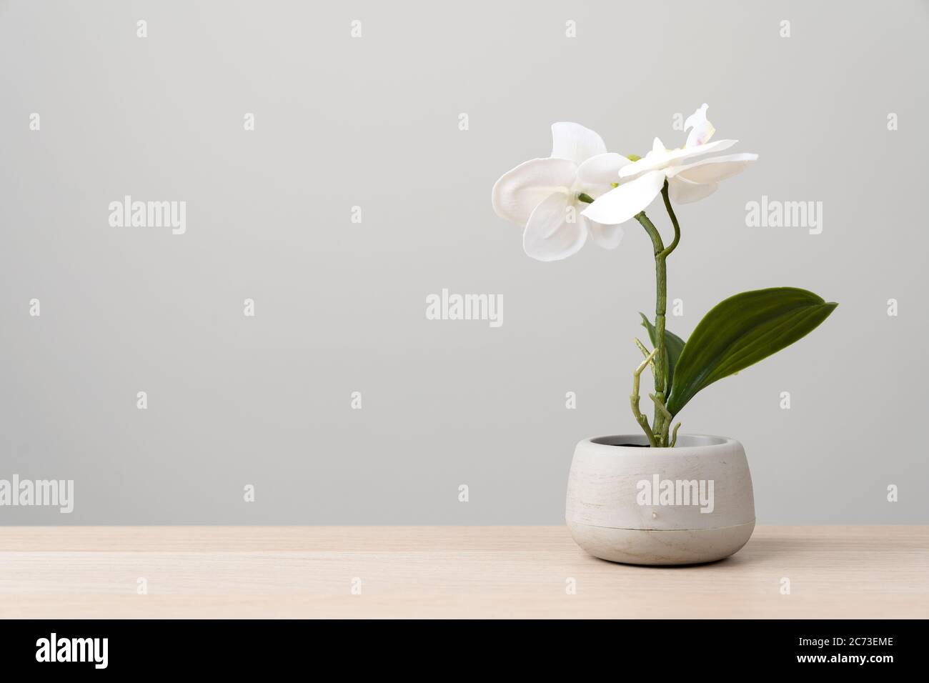 Artificial green flower hi-res stock photography and images - Alamy