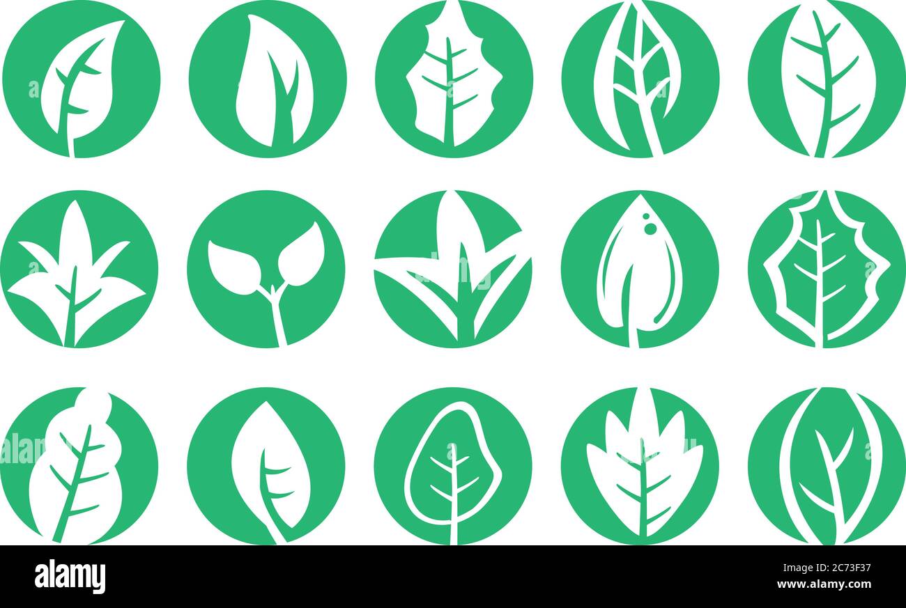 Vector illustration of leaf in various shapes in green circle. Design set for symbols and logos on natural concept isolated on white background. Stock Vector