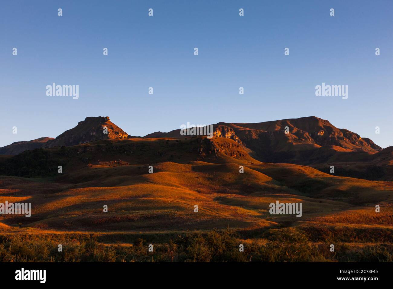 Drakensberg, Cathedral Peak, morning glow, Didima Camp, Giants Castle Game Reserve, Uthukela District, KwaZulu-Natal Province, South Africa, Africa Stock Photo