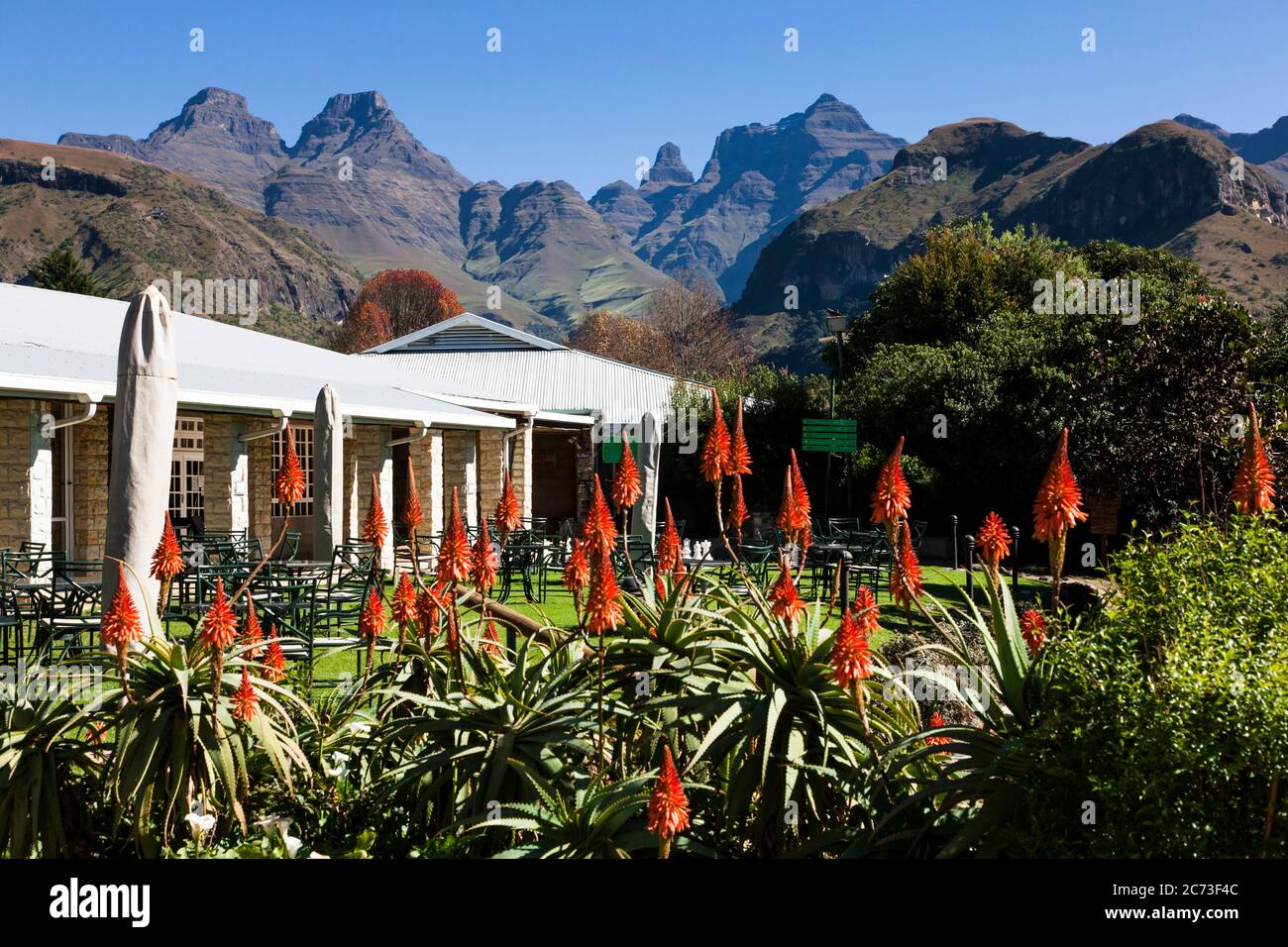 Garden castle peak south africa hi-res stock photography and images - Alamy