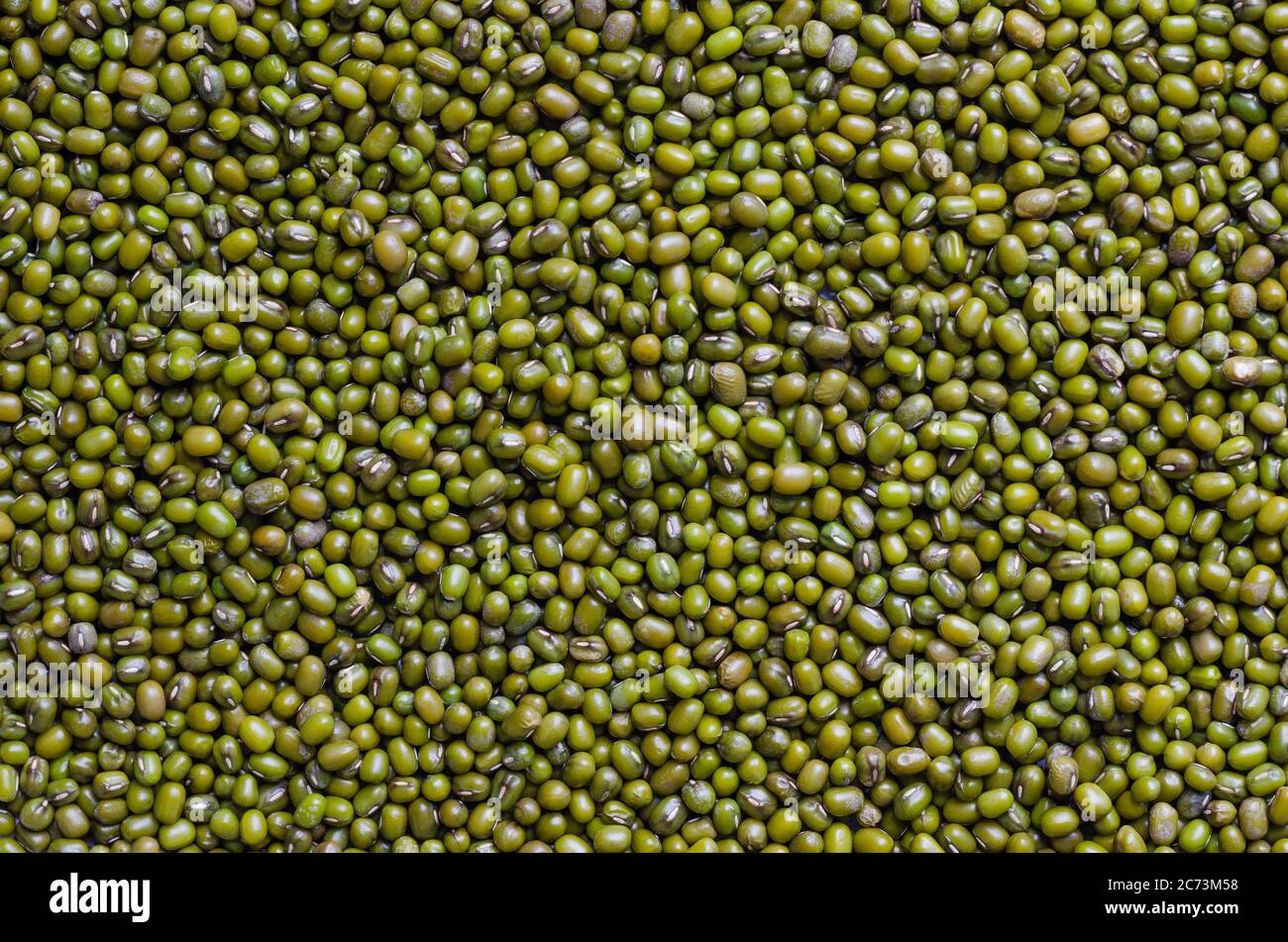Mung Beans In Close Up Detail. Stock Photo