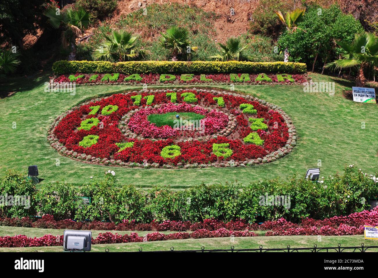 The flower clock in Vina del Mar, Chile Stock Photo