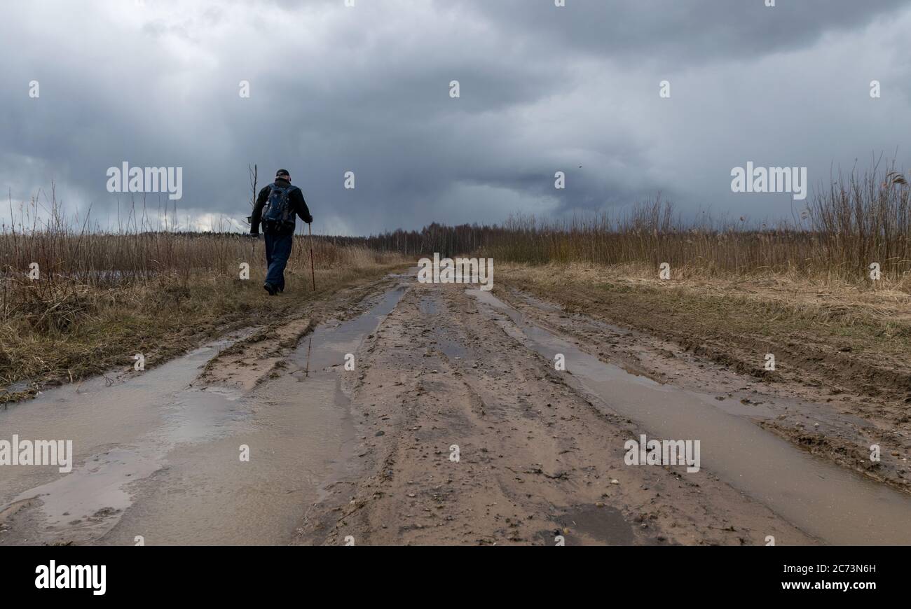 Reeds side view hi-res stock photography and images - Alamy