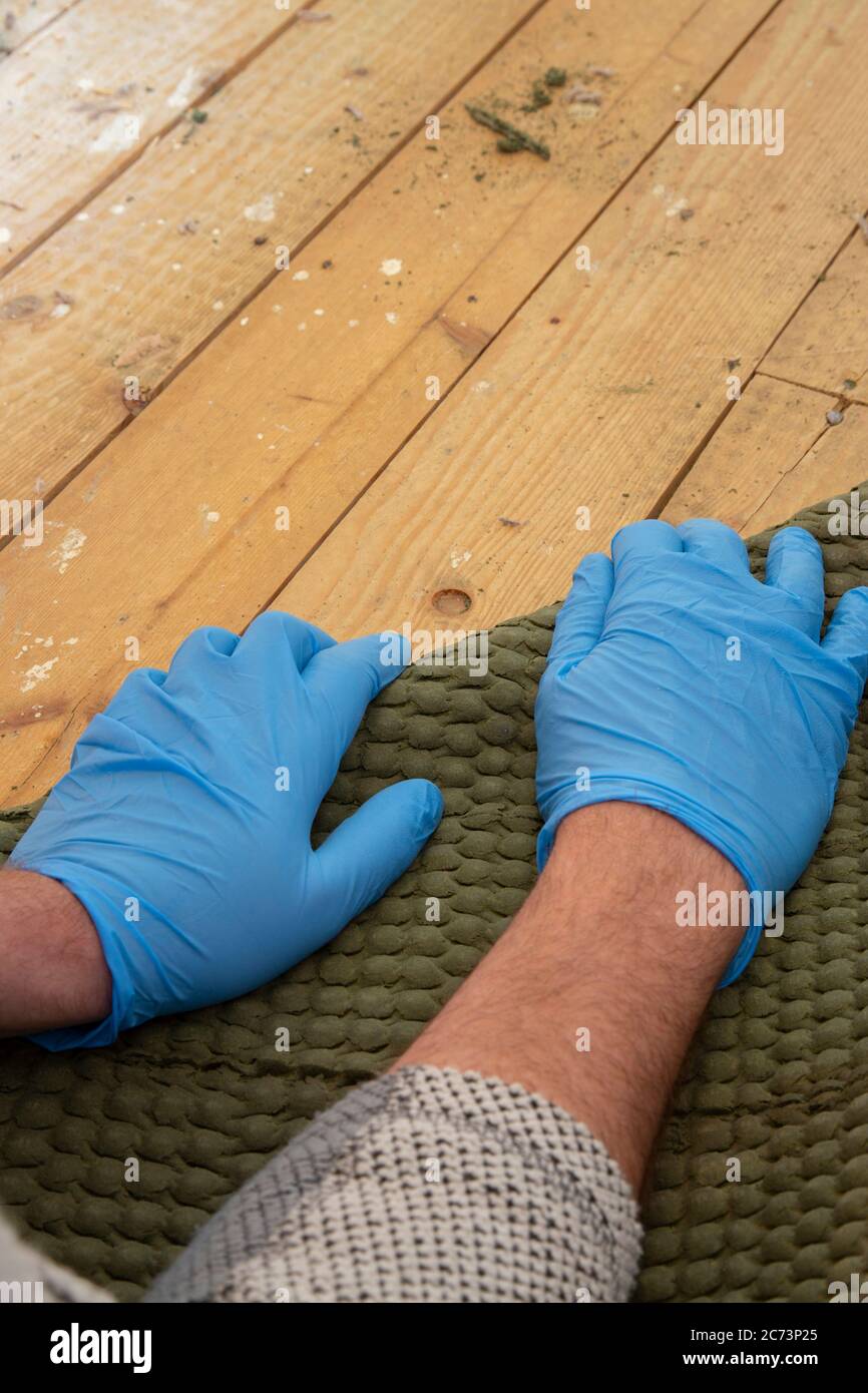 Man pulling up and removing carpet underlay from a wooden floor. Home  interior do it yourself refurbishment project Stock Photo - Alamy