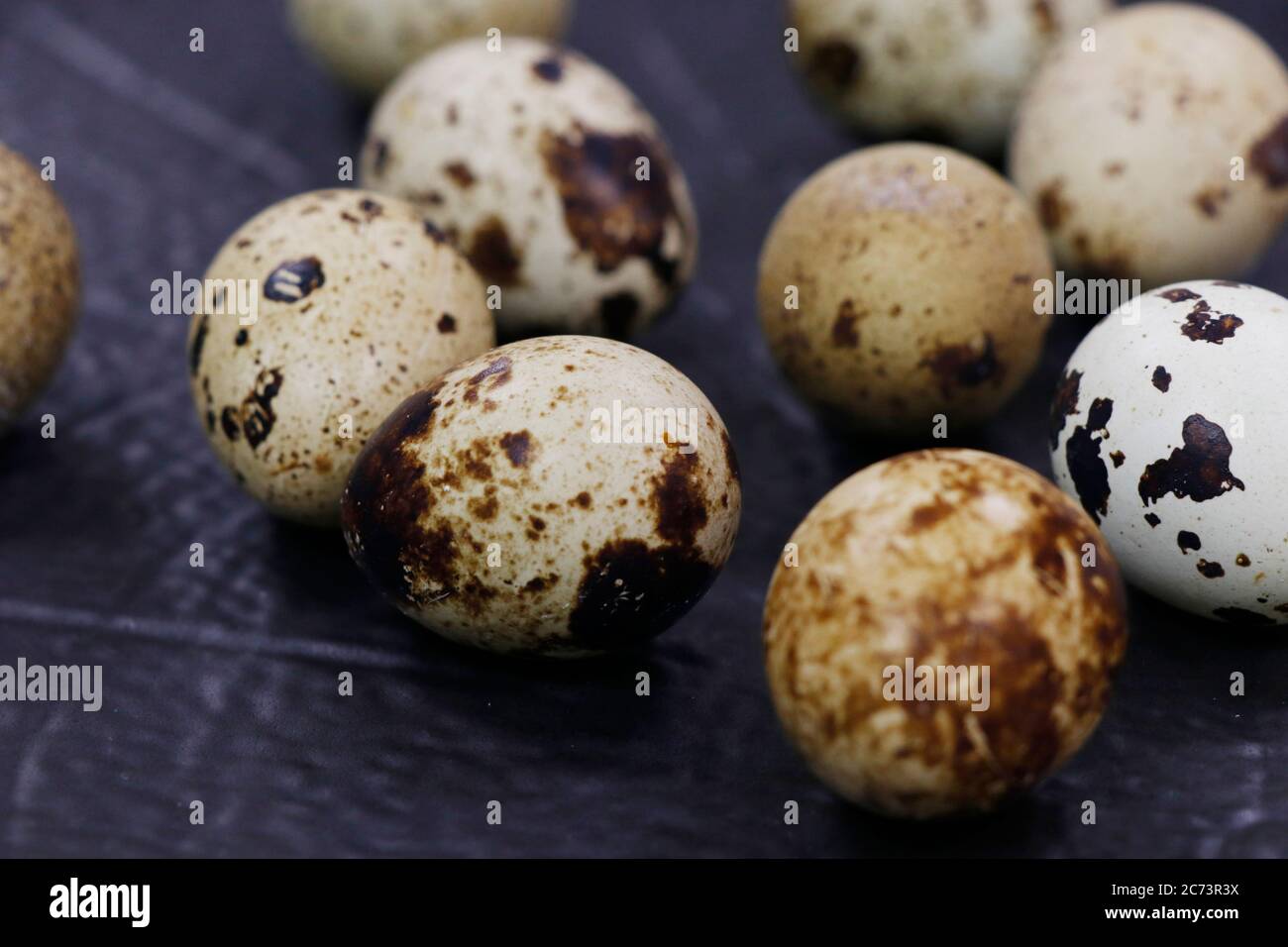 fresh quail eggs isolated on dark black background Stock Photo