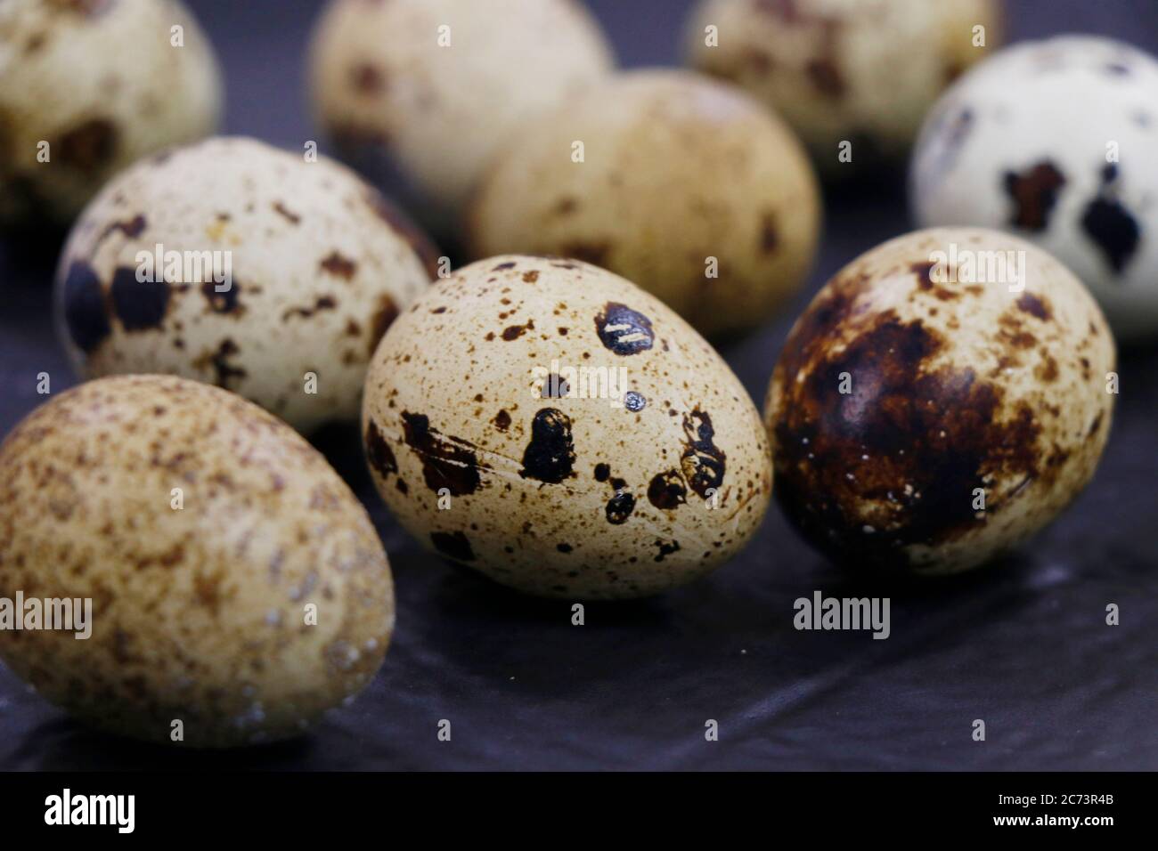 fresh quail eggs isolated on dark black background Stock Photo