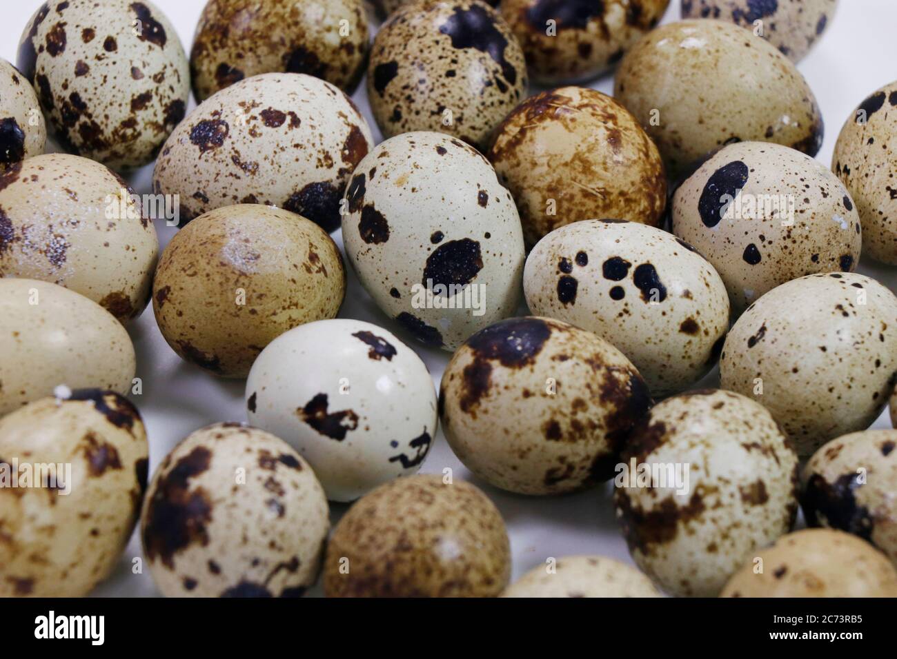 fresh quail eggs isolated on white background Stock Photo