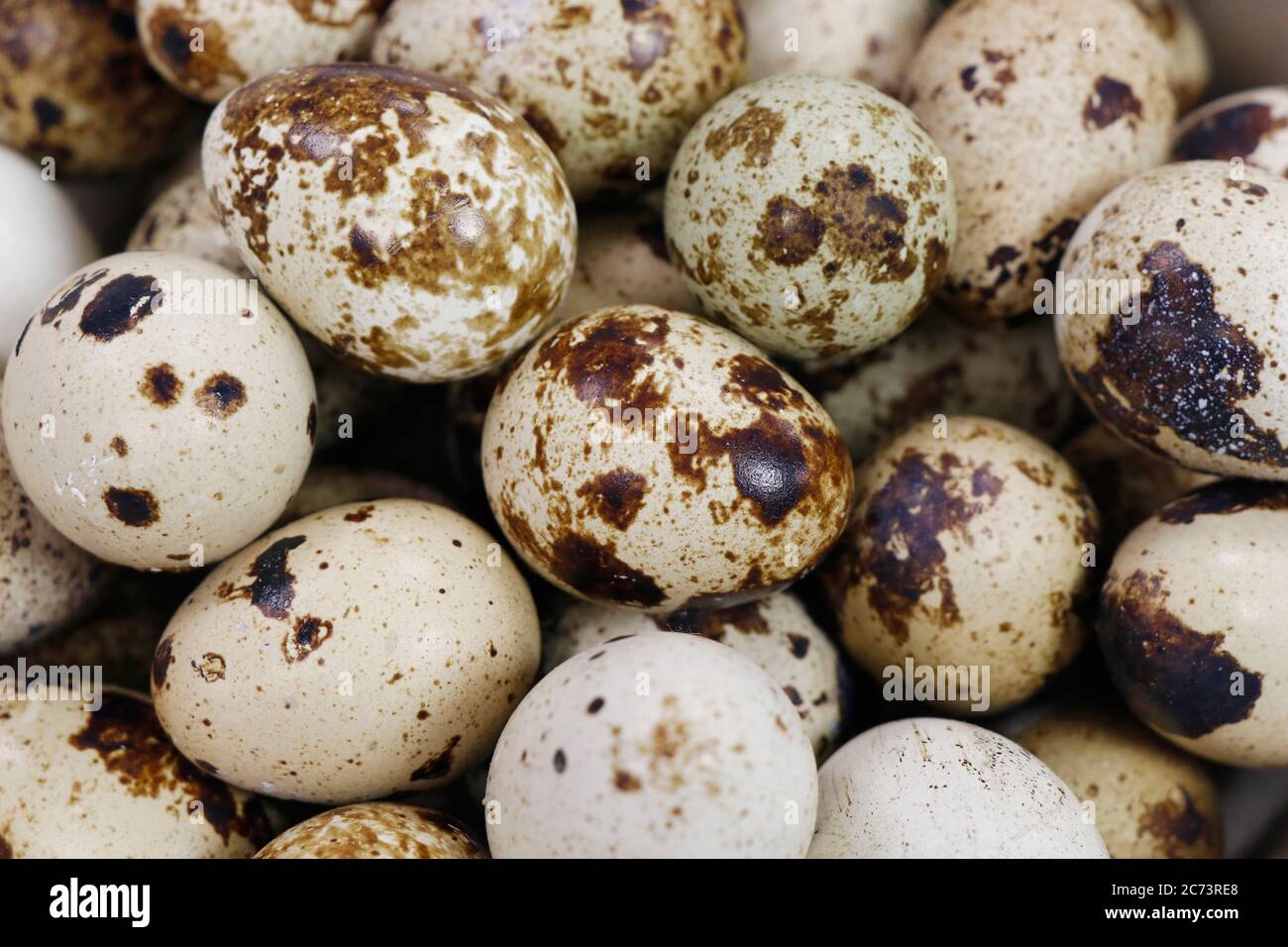 fresh quail eggs isolated on white background Stock Photo