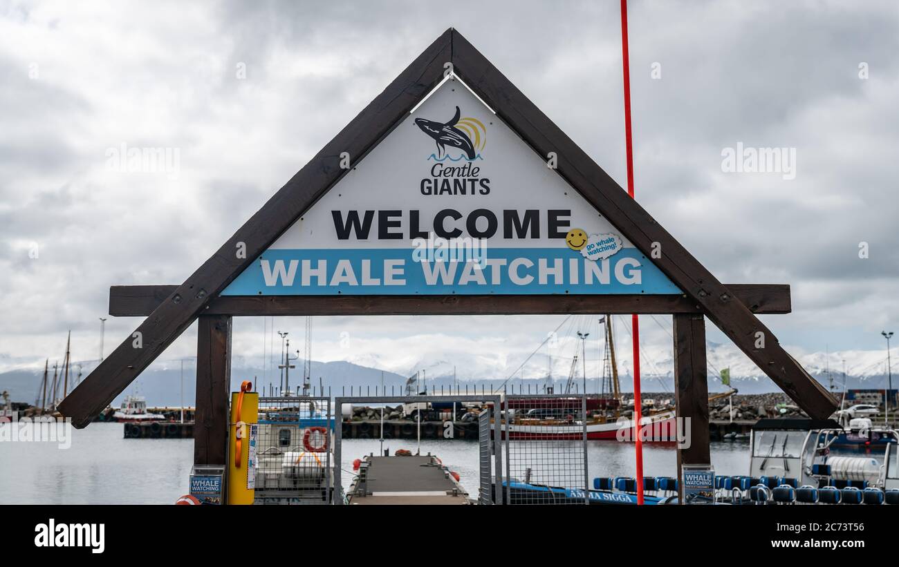 Whale watching village hi-res stock photography and images - Alamy