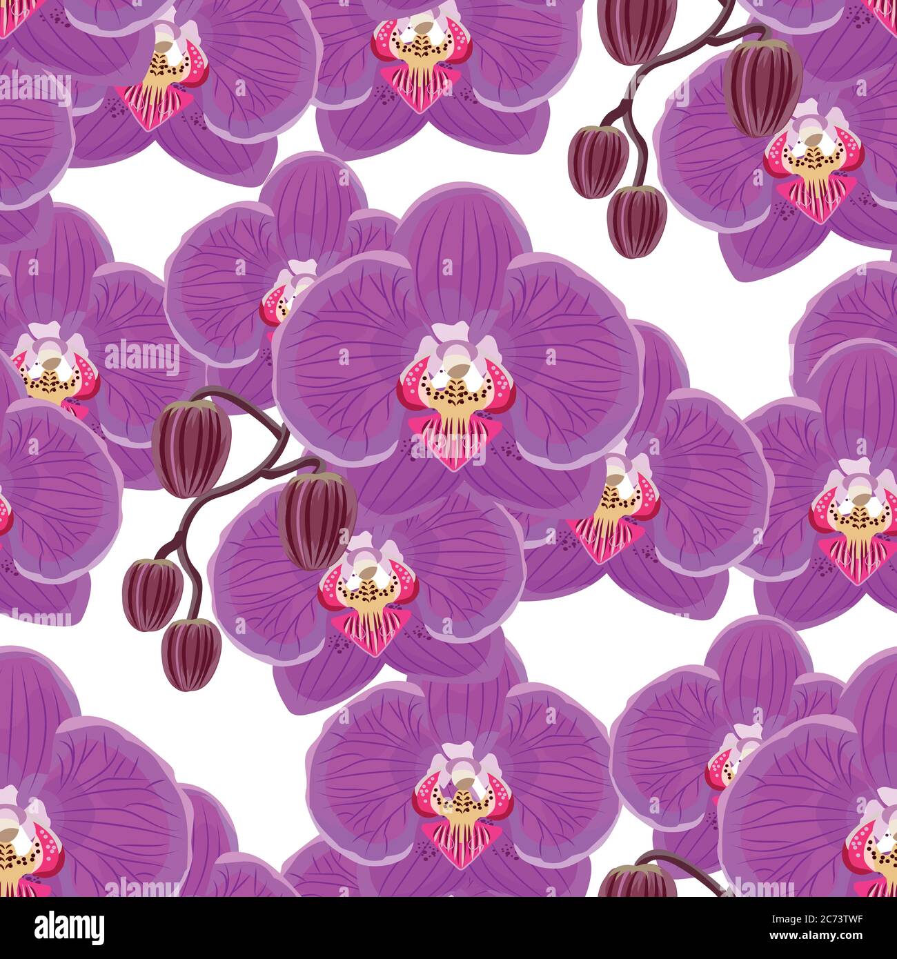 Seamless pattern with pink orchids on white background Stock Vector ...