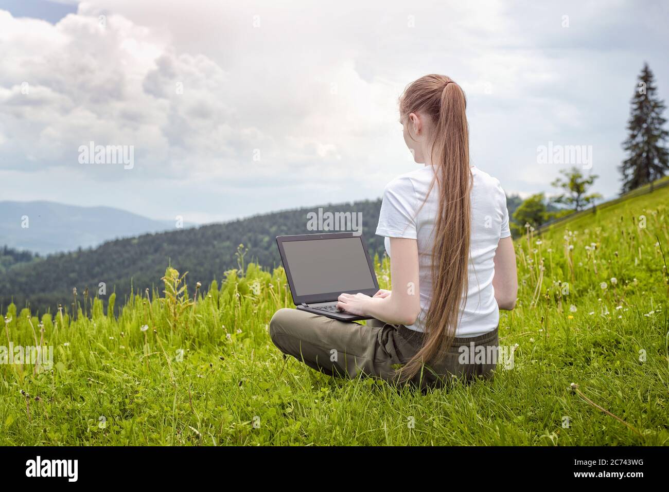 Beautiful girl with a laptop sitting on green grass on a background of ...