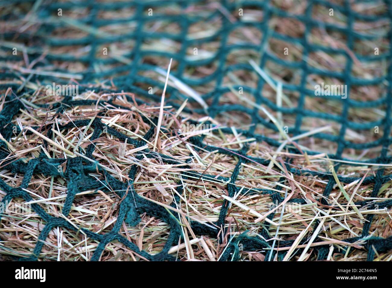 Close up of hay in a green hay net Stock Photo