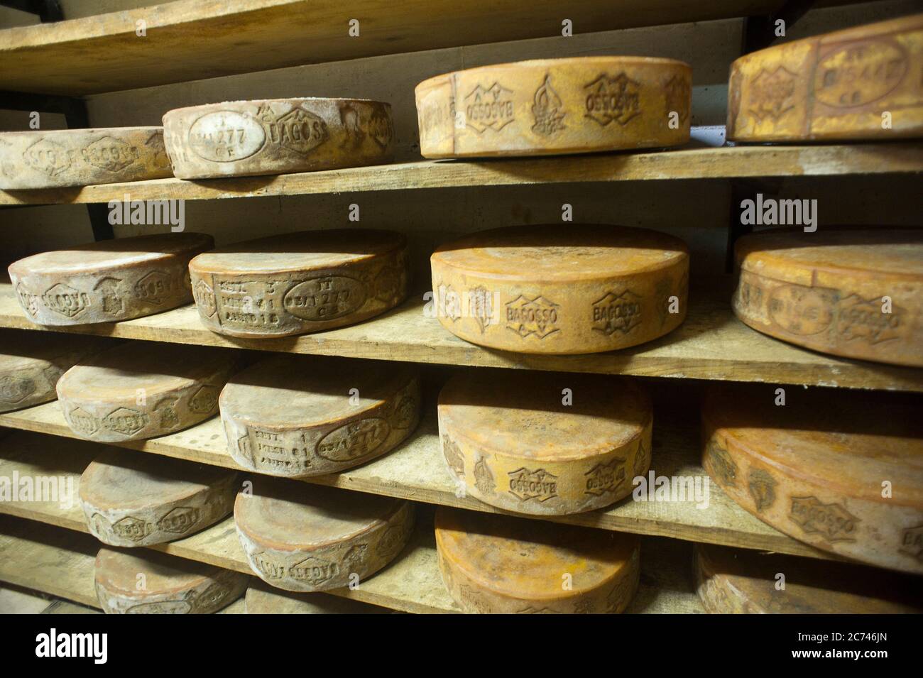Italy, Lombardy, Brescia, Bagolino. Typical cheese of the Bagoss