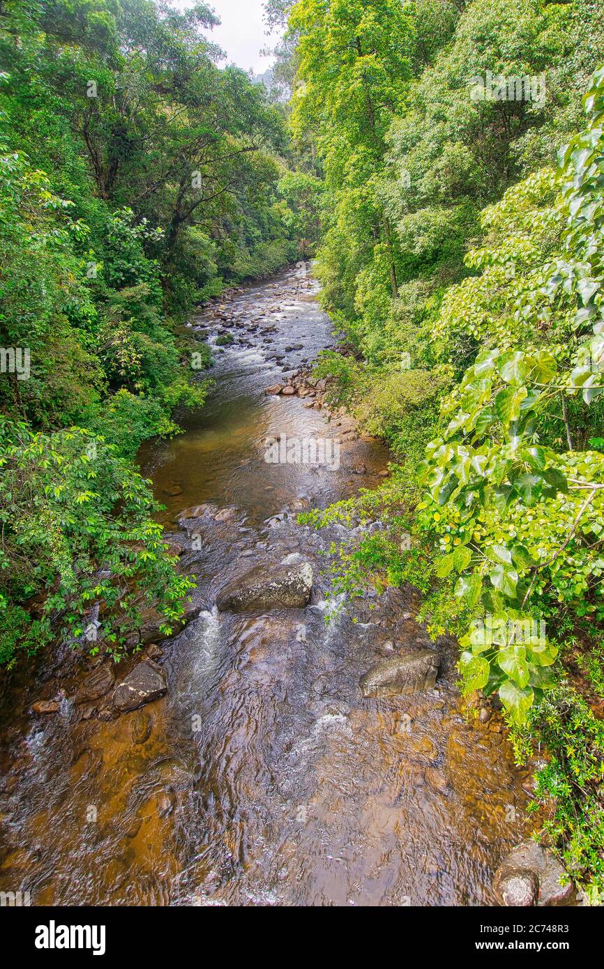 River, Sinharaja National Park Rain Forest, Sinharaja Forest Reserve, World Heritage Site River, Sinharaja National Park Rain Forest, Sinharaja Forest Reserve, World Heritage Site