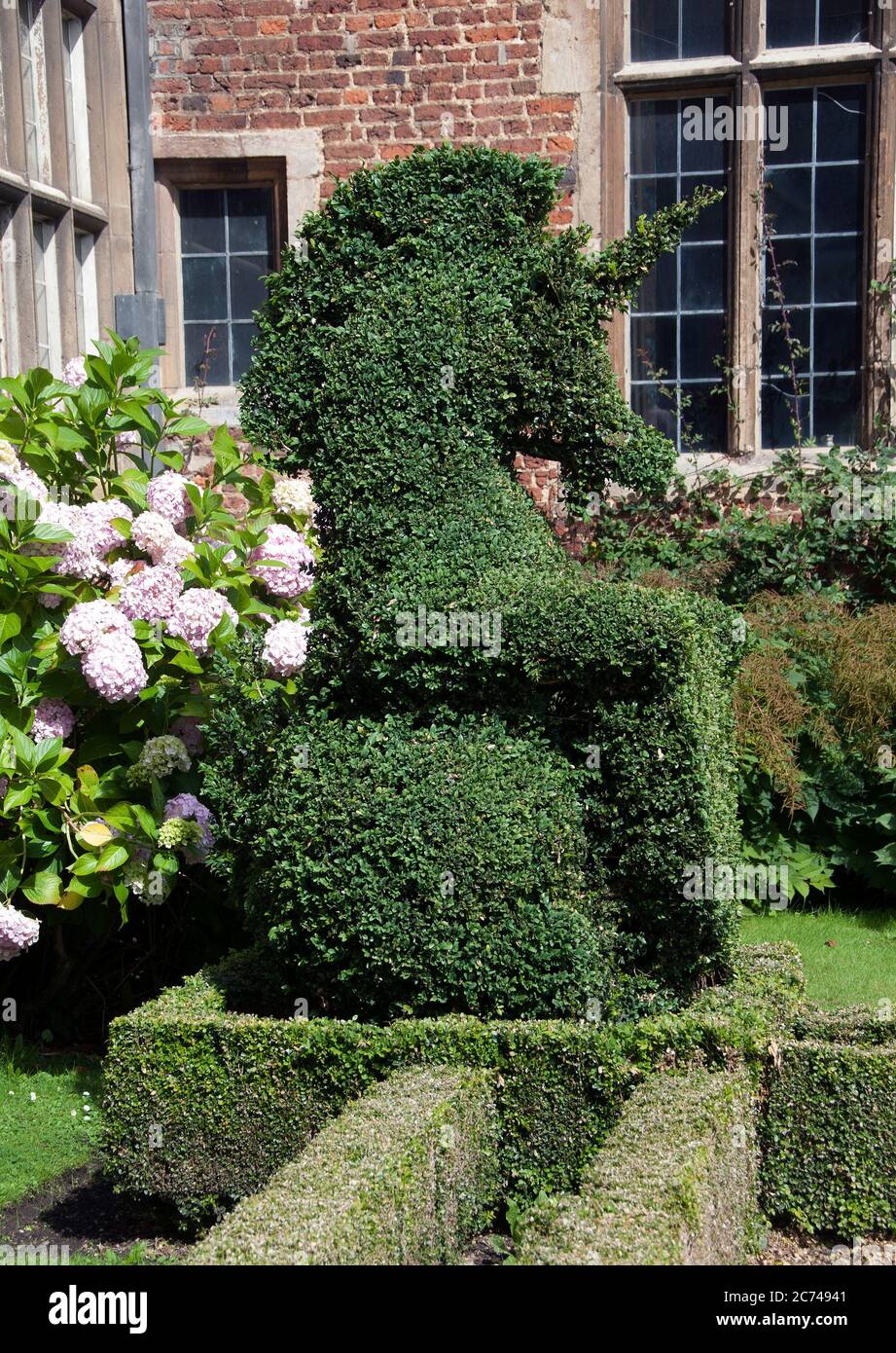 A clipped box topiary unicorn and shield at Doddington Hall Stock Photo