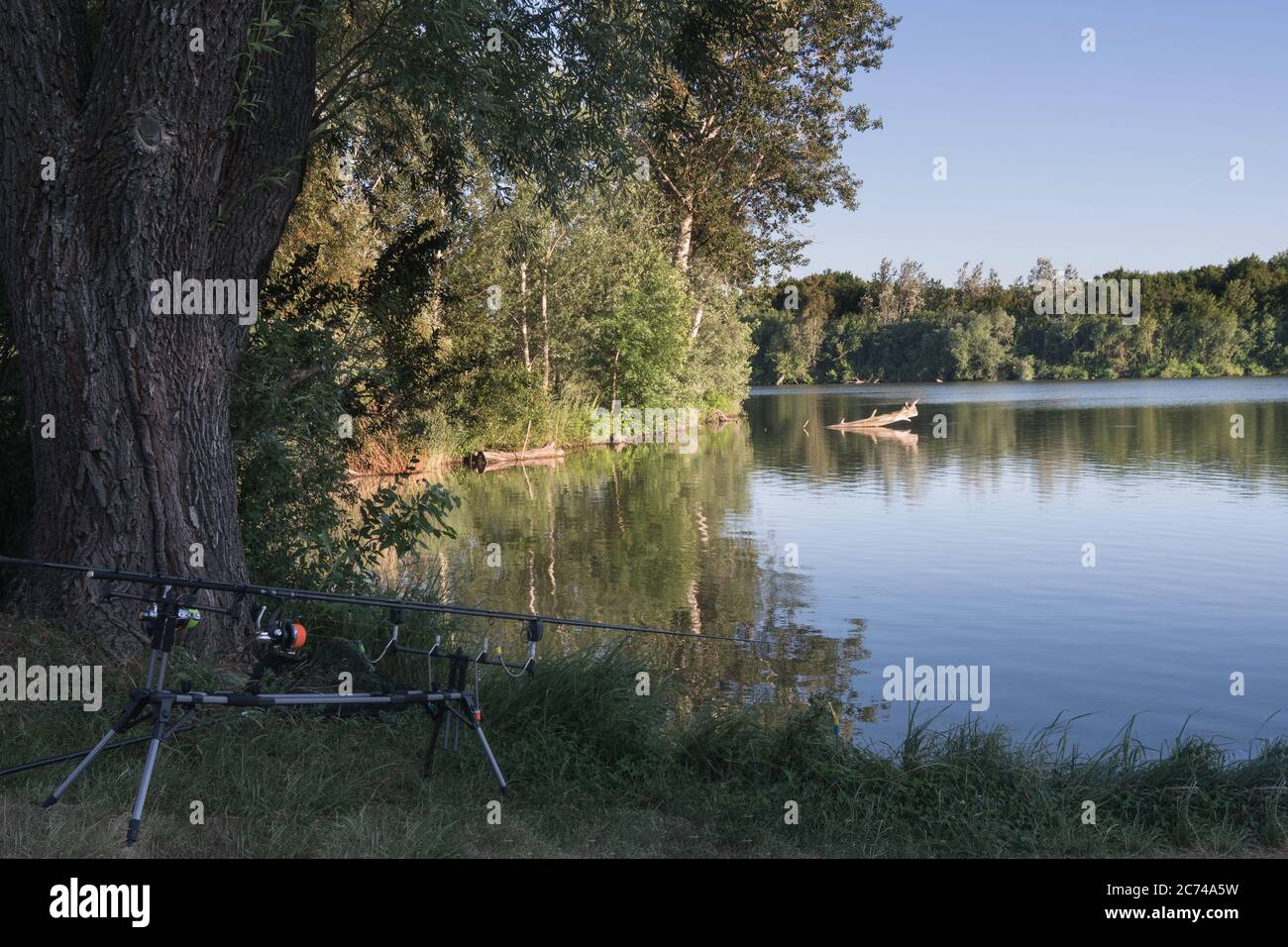 Concept of carp fishing, pond, fishing rod stand Stock Photo - Alamy