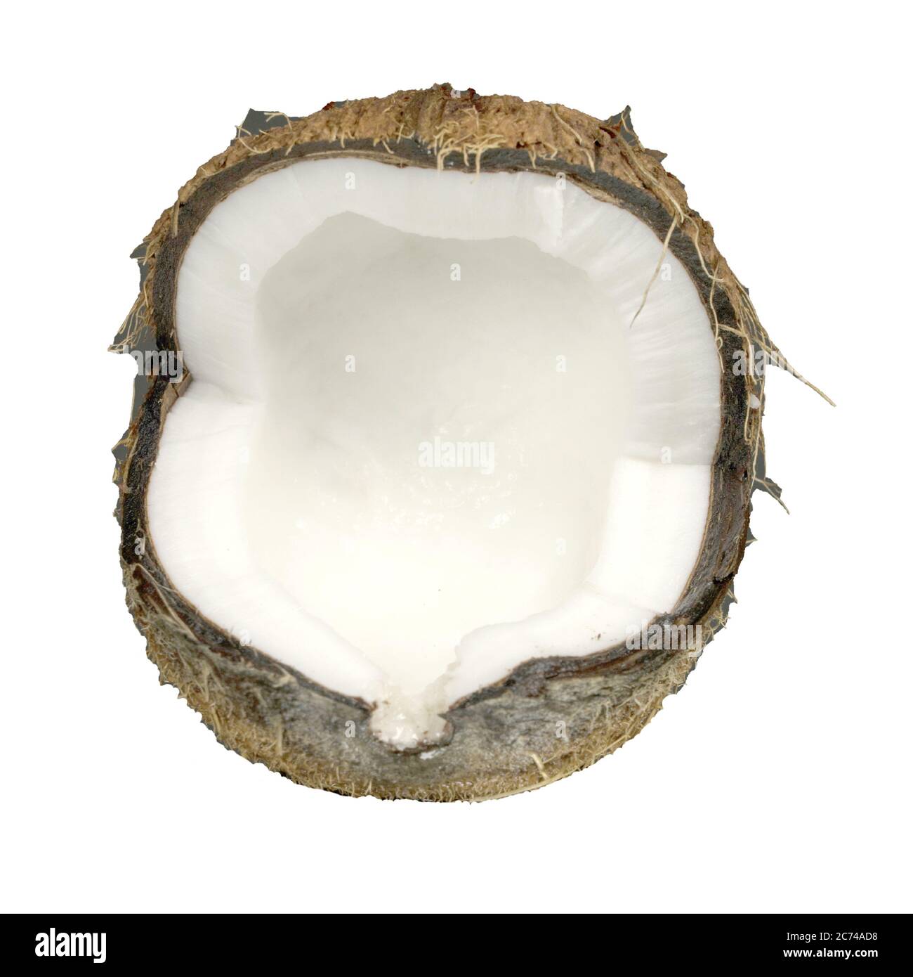 Coconut isolated on the white. Fruit theme Stock Photo