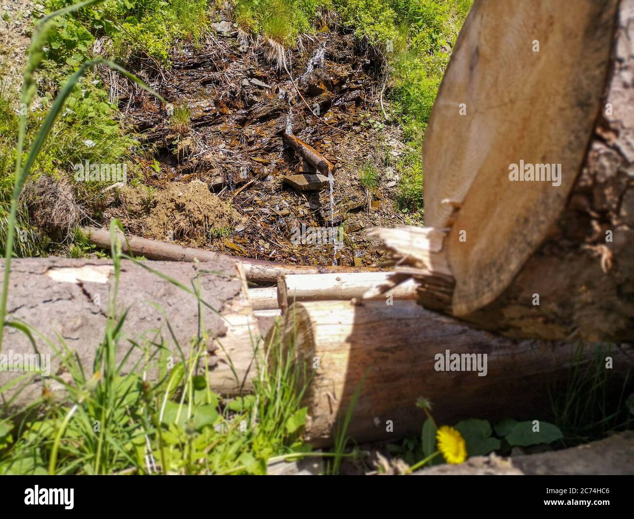 Cold clear water stream flowing down from the top of Carpathian mountains through the wooden gutter. Pile of blurry cut pine logs scattered. Stock Photo