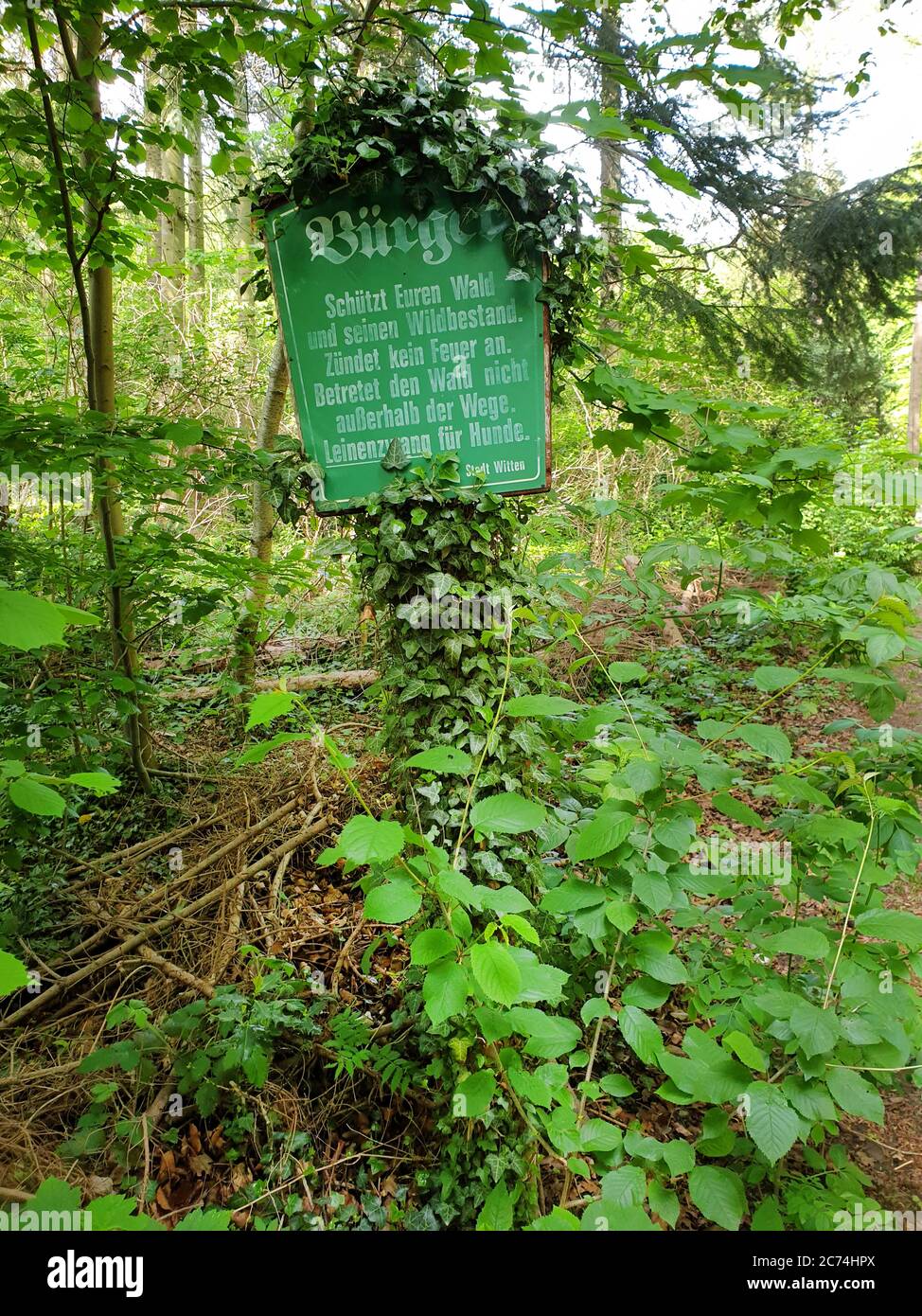 old sign in a forest, people, serve your forest, Dogs must be kept on leads, Germany, North Rhine-Westphalia, Ruhr Area, Witten Stock Photo