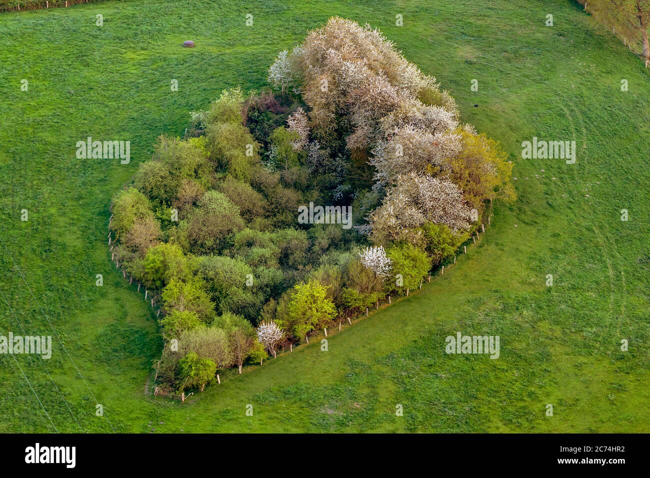 Aerial view of a flower meadow hires stock photography and images Alamy