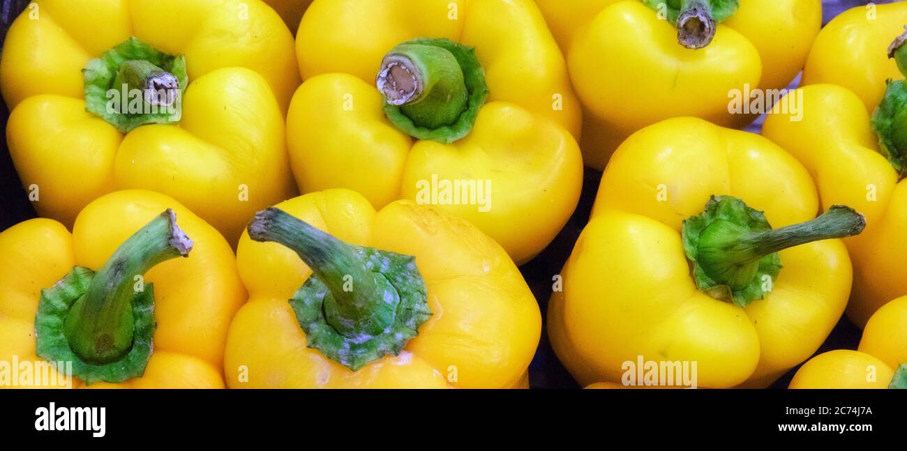 Yellow bell peppers. Stock Photo