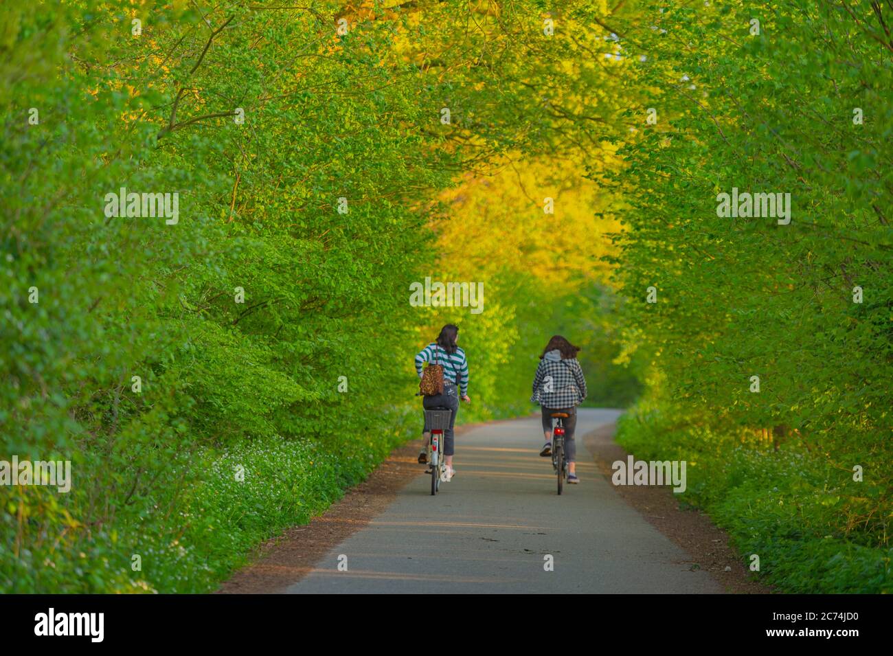 two cyclists in spring, Germany, Hamburg, Hummelsbuettler Feldmark Stock Photo