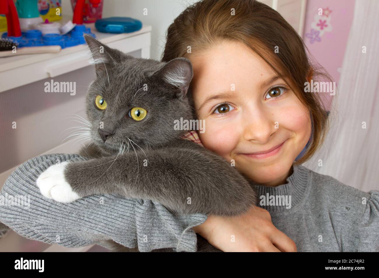 little girl cuddling with a grey cat, love of animals, Germany Stock Photo