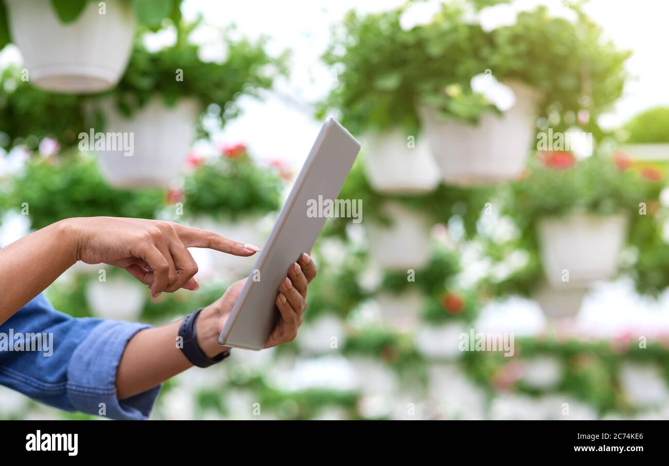 Smart management of industrial greenhouse. African american woman gardener are using tablet for work Stock Photo