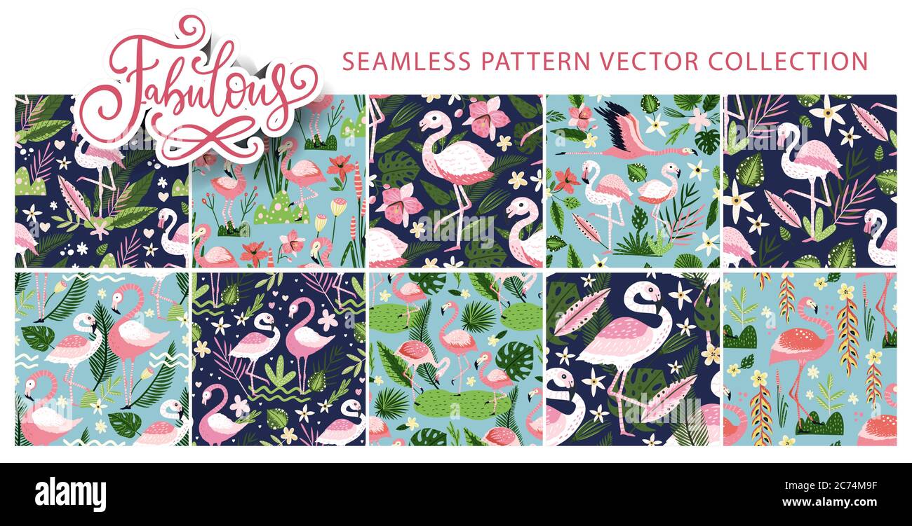 Flamingo bird seamless pattern vector set Stock Vector