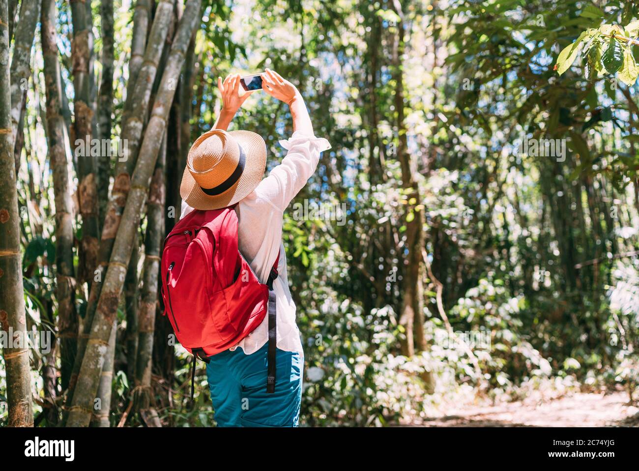 Woman with backpack on trek through jungle forest stopping taking picture with smartphone Stock Photo