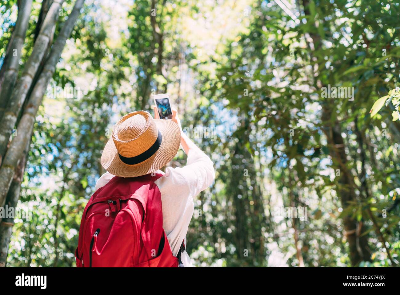 Woman with backpack on trek through jungle forest stopping taking picture with smartphone Stock Photo