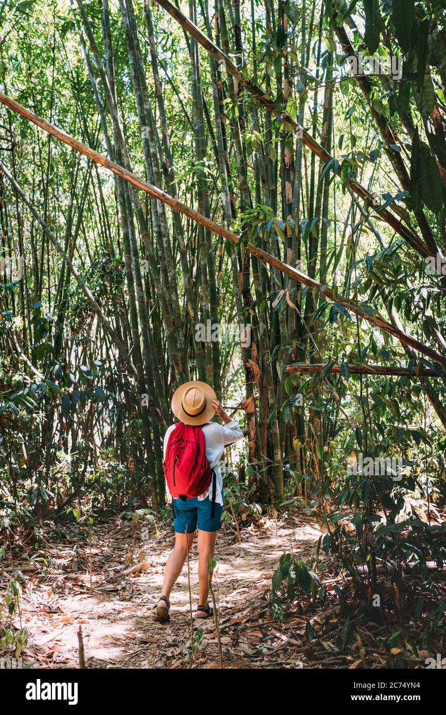 Woman with backpack on trek through jungle stopping looking bamboo forest top branches Stock Photo