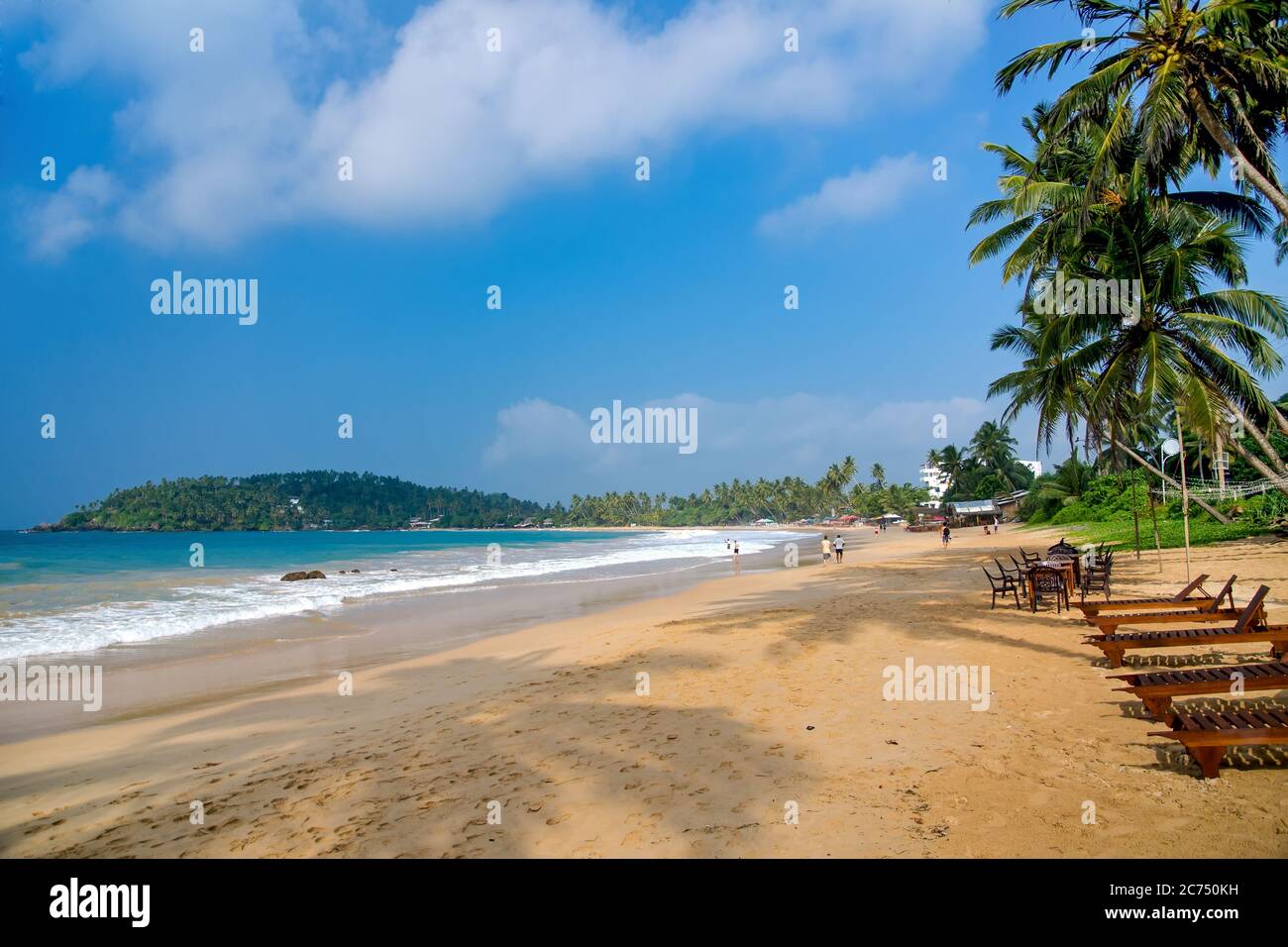 Sandy beach with deckchairs under the coconut trees. Mirissa, Sri Lanka Stock Photo