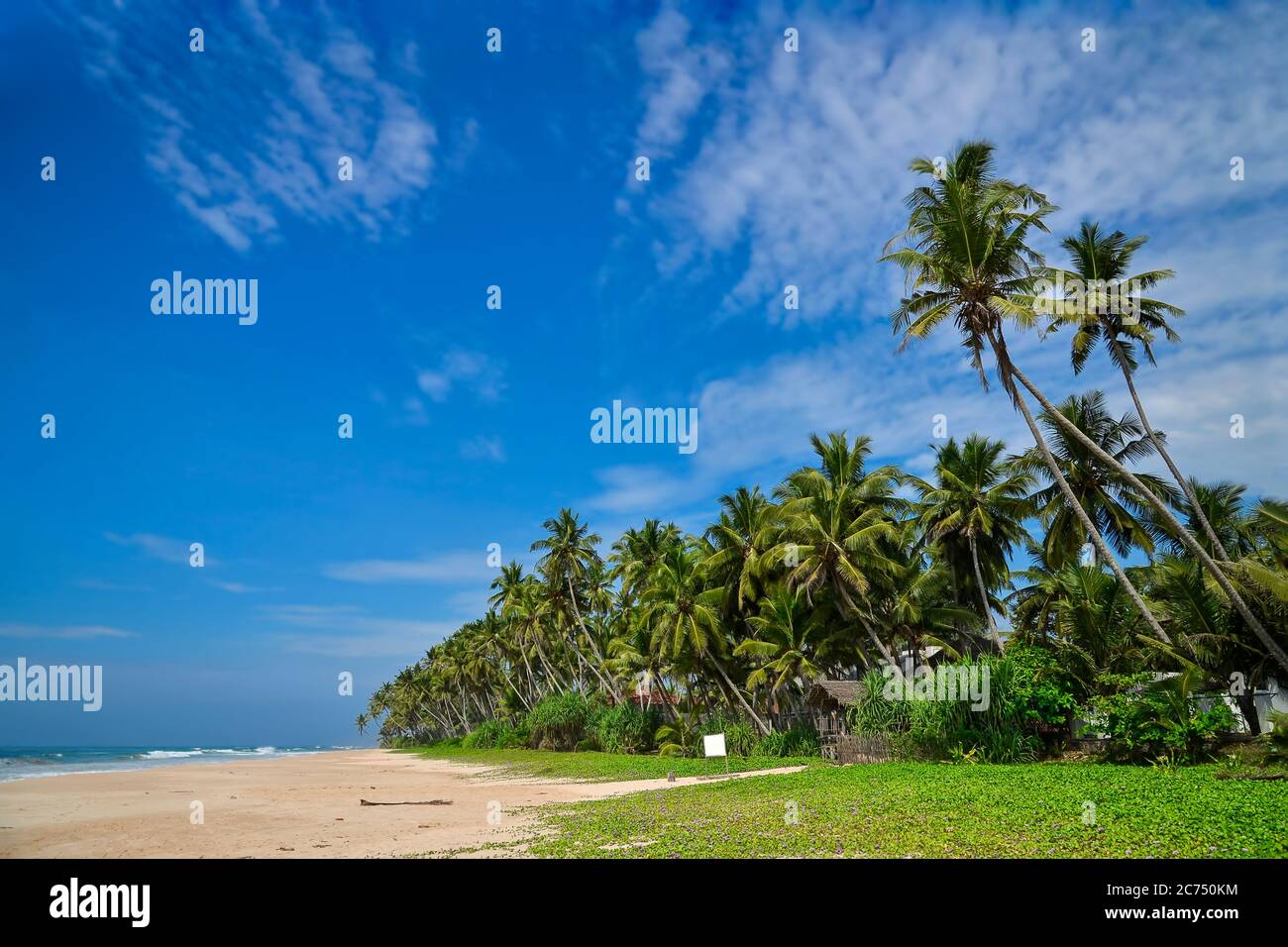 Paradise island. Kosgoda. Sri Lanka Stock Photo