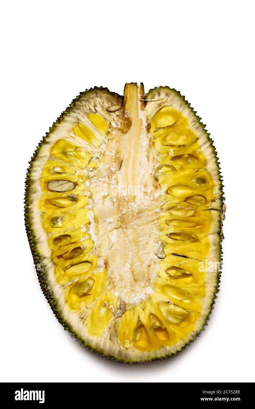 Fresh ripe jackfruit. Fresh sweet jackfruit segment ready for eat