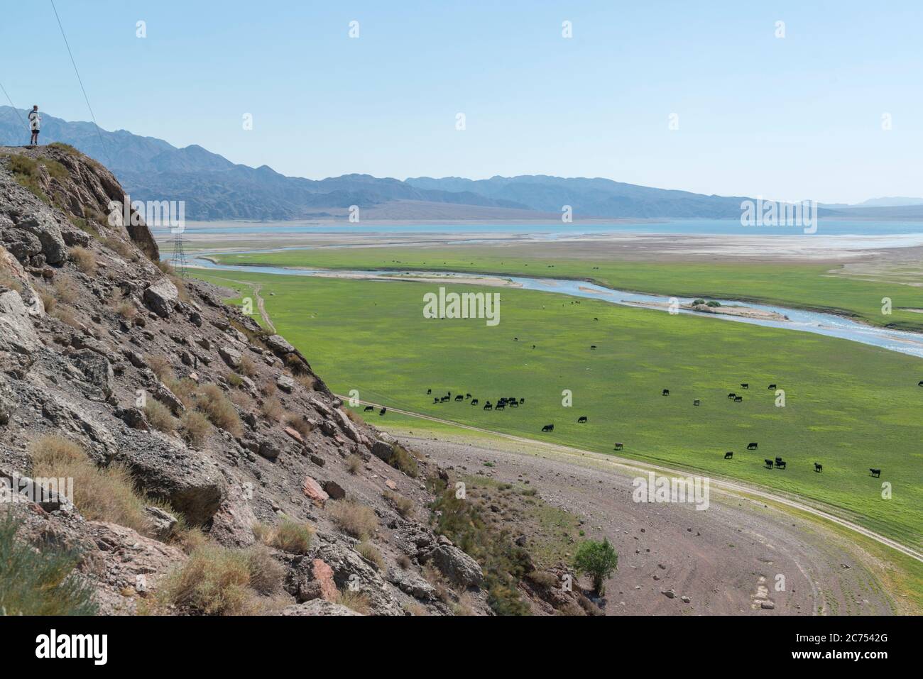 Male person looking over the Orto Tokoy reservoir, Kyrgyzstan Stock Photo