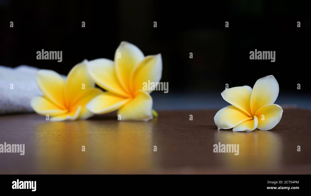 Close up frangipani flowers Stock Photo