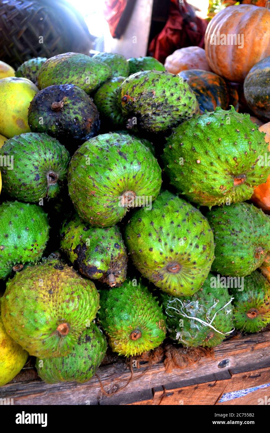 Green soursop exotic fruit Stock Photo Alamy