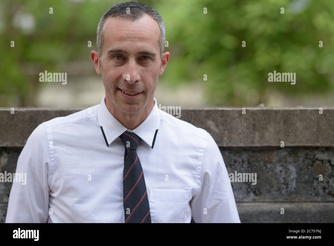 Portrait of happy mature handsome businessman outdoors Stock Photo - Alamy