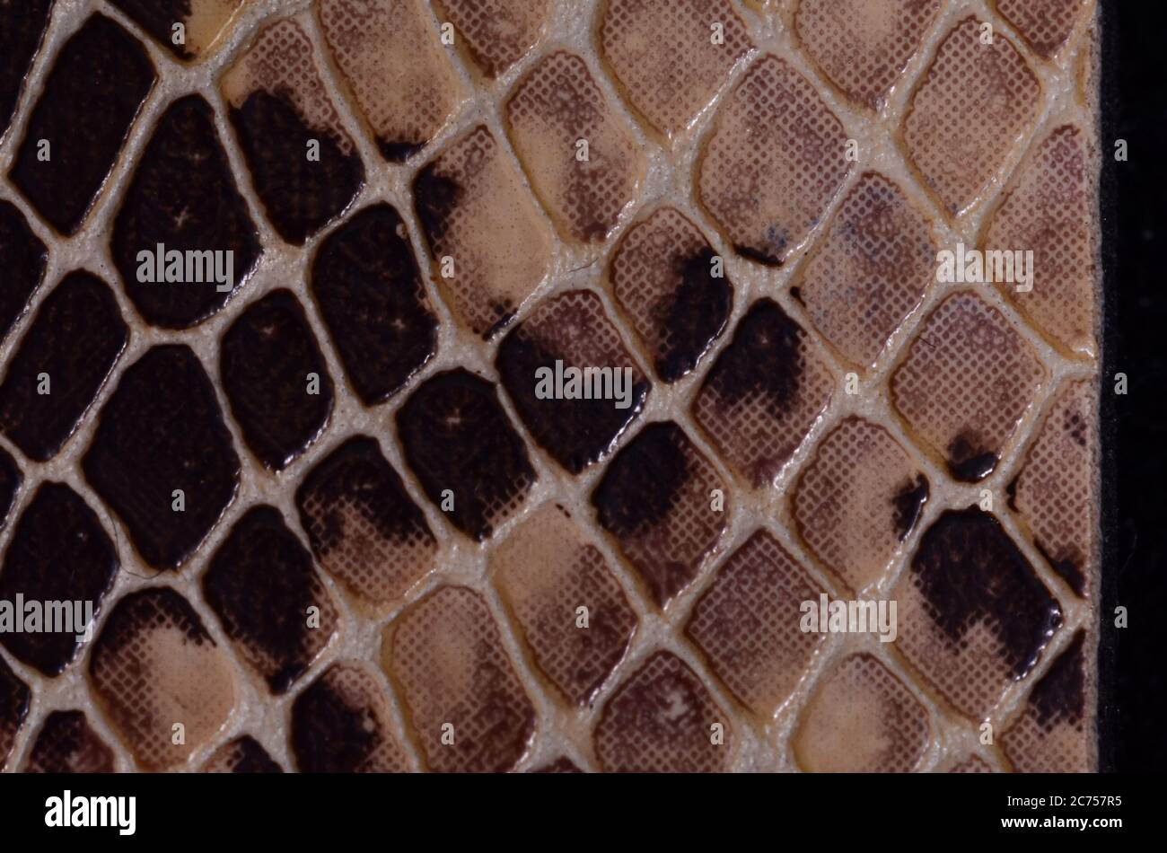 Artificial Reptil Snake Skin Seamless Pattern Texture Stock Photo