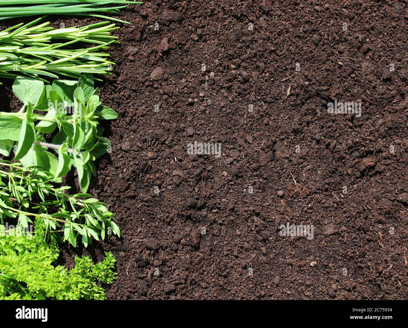 The picture shows a background with different herbs Stock Photo