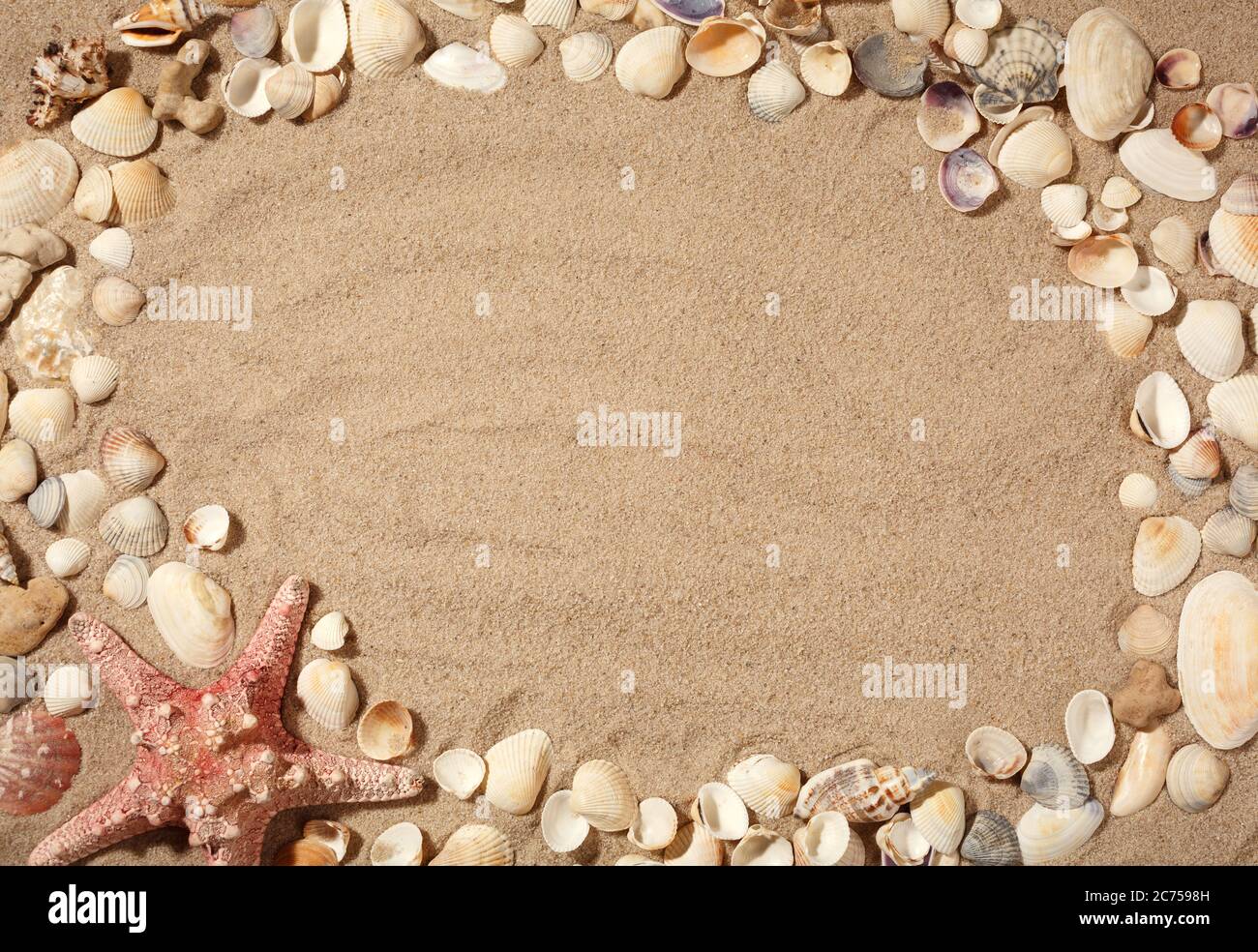 Seashells, starfish and sea pebbles frame on beach sand background. Natural seashore textured sand. Stock Photo