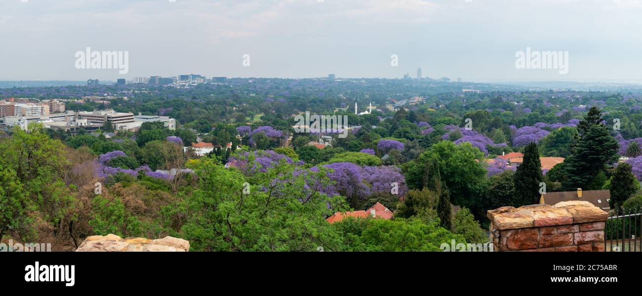 Johannesburg, South Africa - October 2019: Aerial view of Johannesburg with green parks and Jacaranda trees in South Africa. Stock Photo