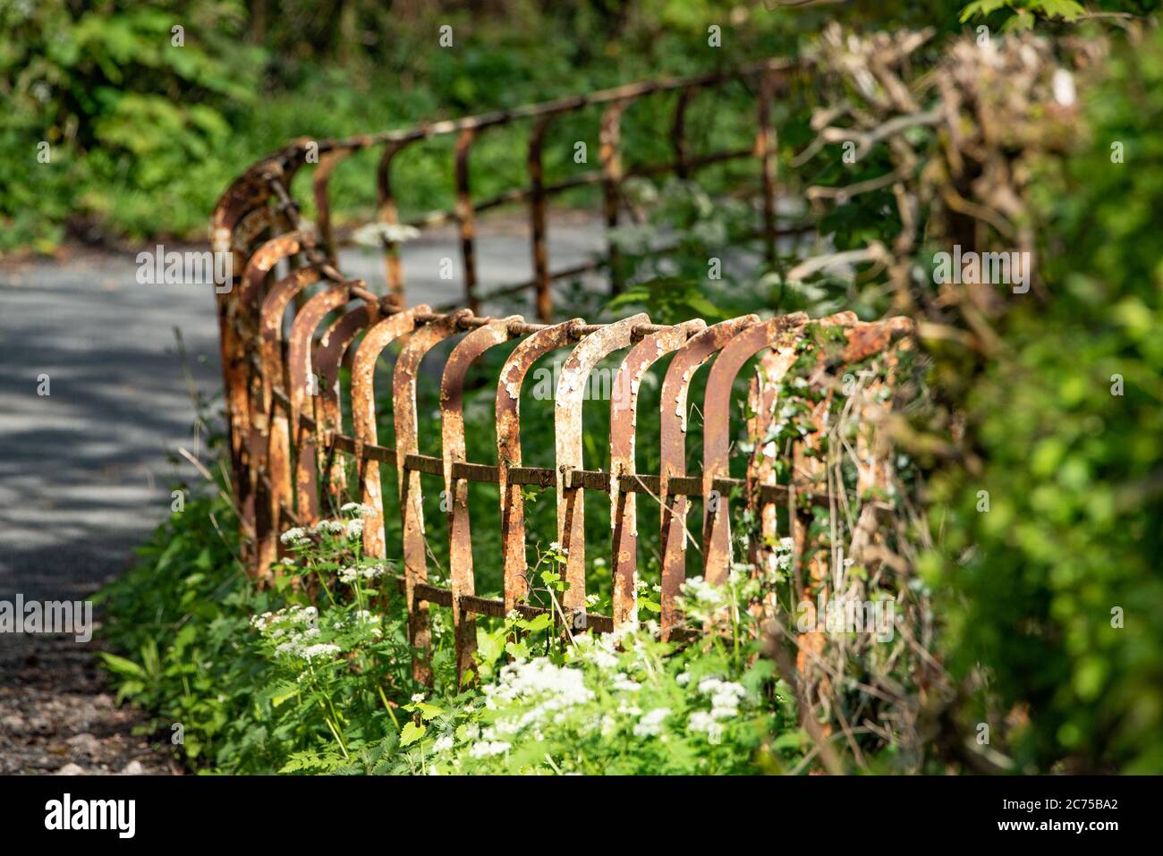 View of country lane with Cheshire railings, Chipping, Preston, Lancashire, UK Stock Photo