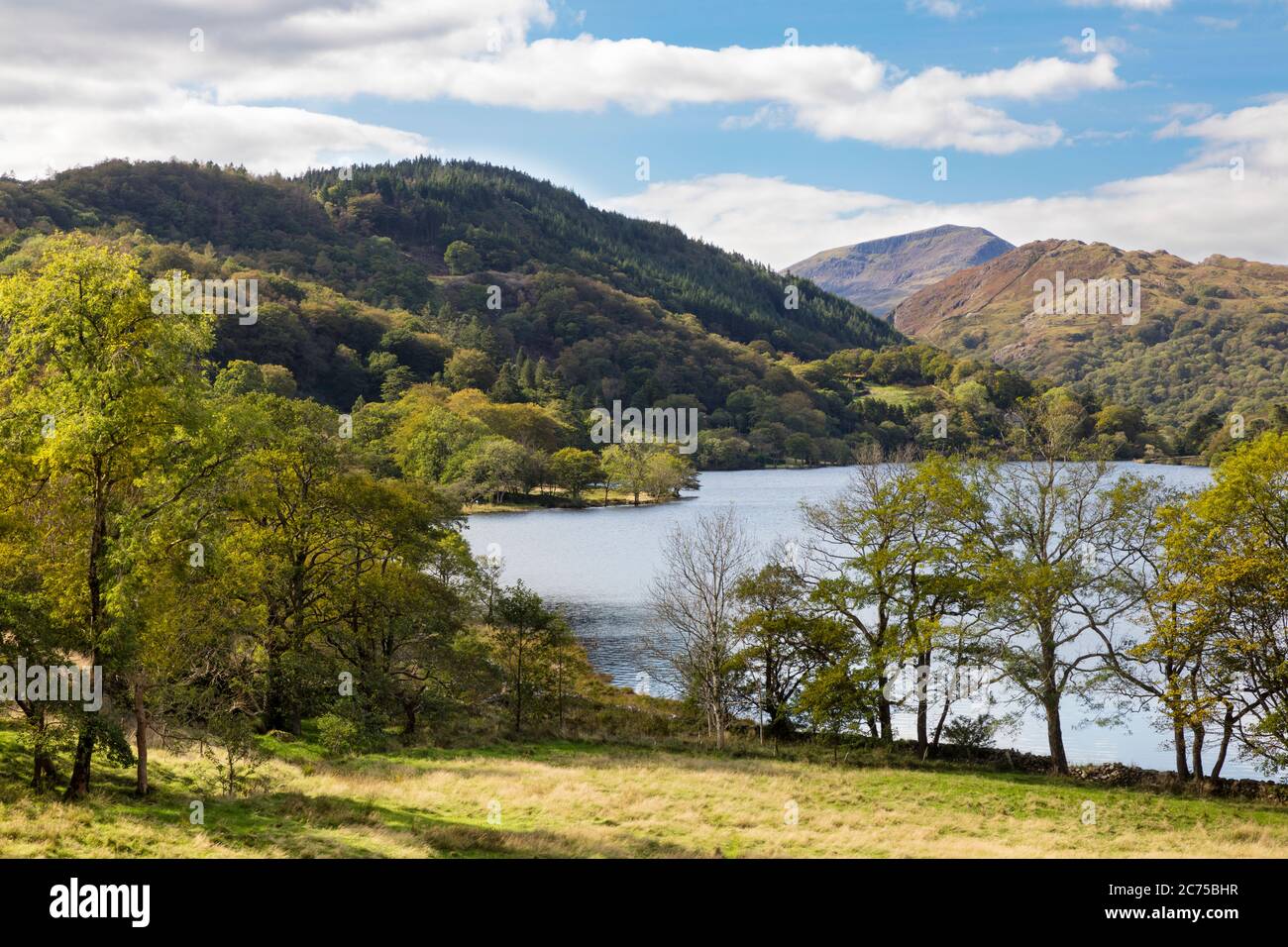 Fall Colors around the shore of Lyn Gwynant in Snowdonia National Park, Wales, UK Stock Photo