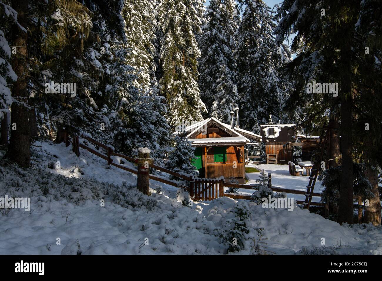 Mountain cabin in the forest near Axamer Lizum in winter, Tirol, Alps Stock Photo