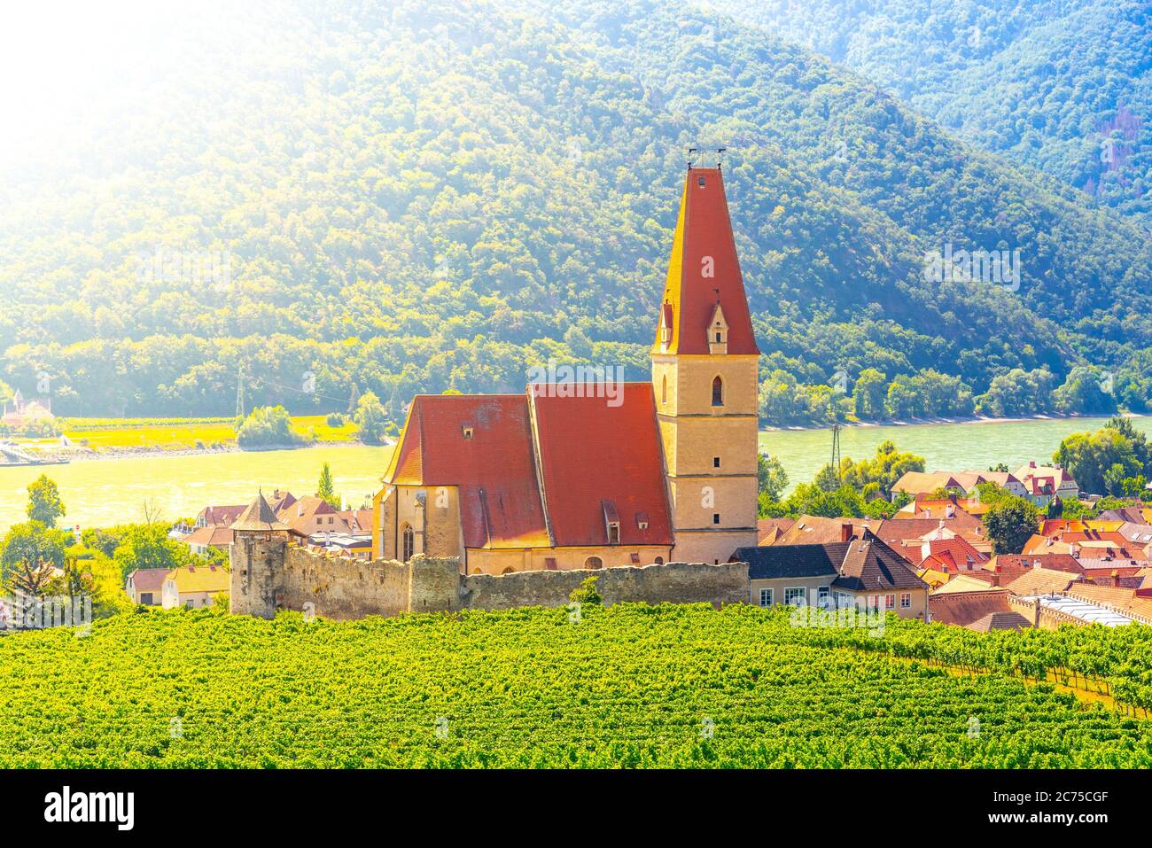 Sunny day in Wachau Valley. Landscape of vineyards and Danube River at Weissenkirchen, Austria. Stock Photo
